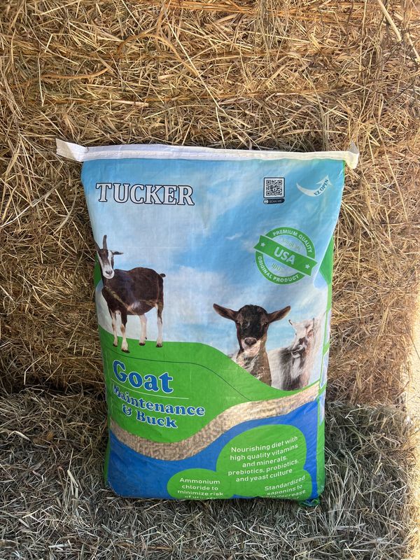 Goat Maintenance and Buck - 50LB Bag