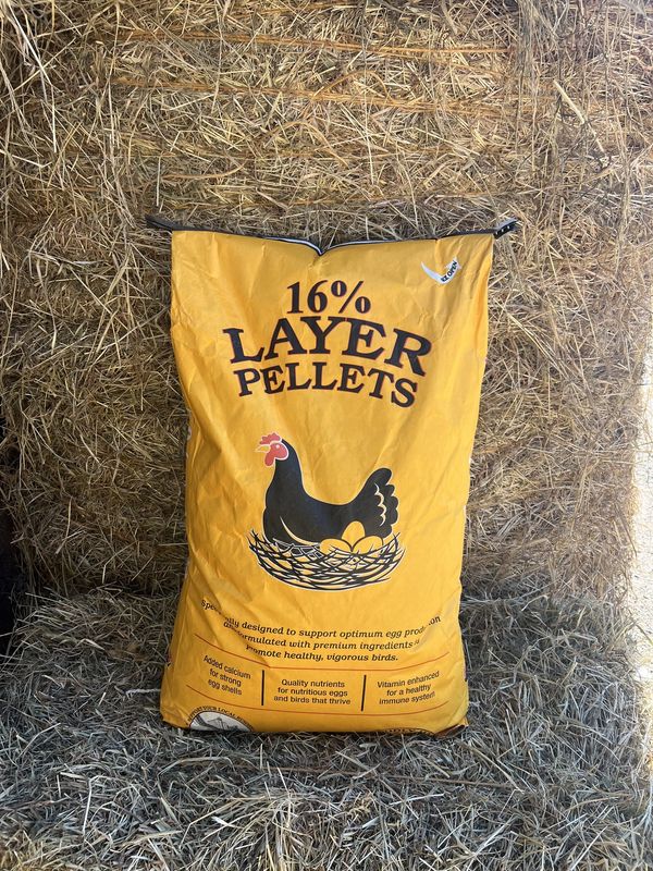 16% Layer Pellet -50LB Bag