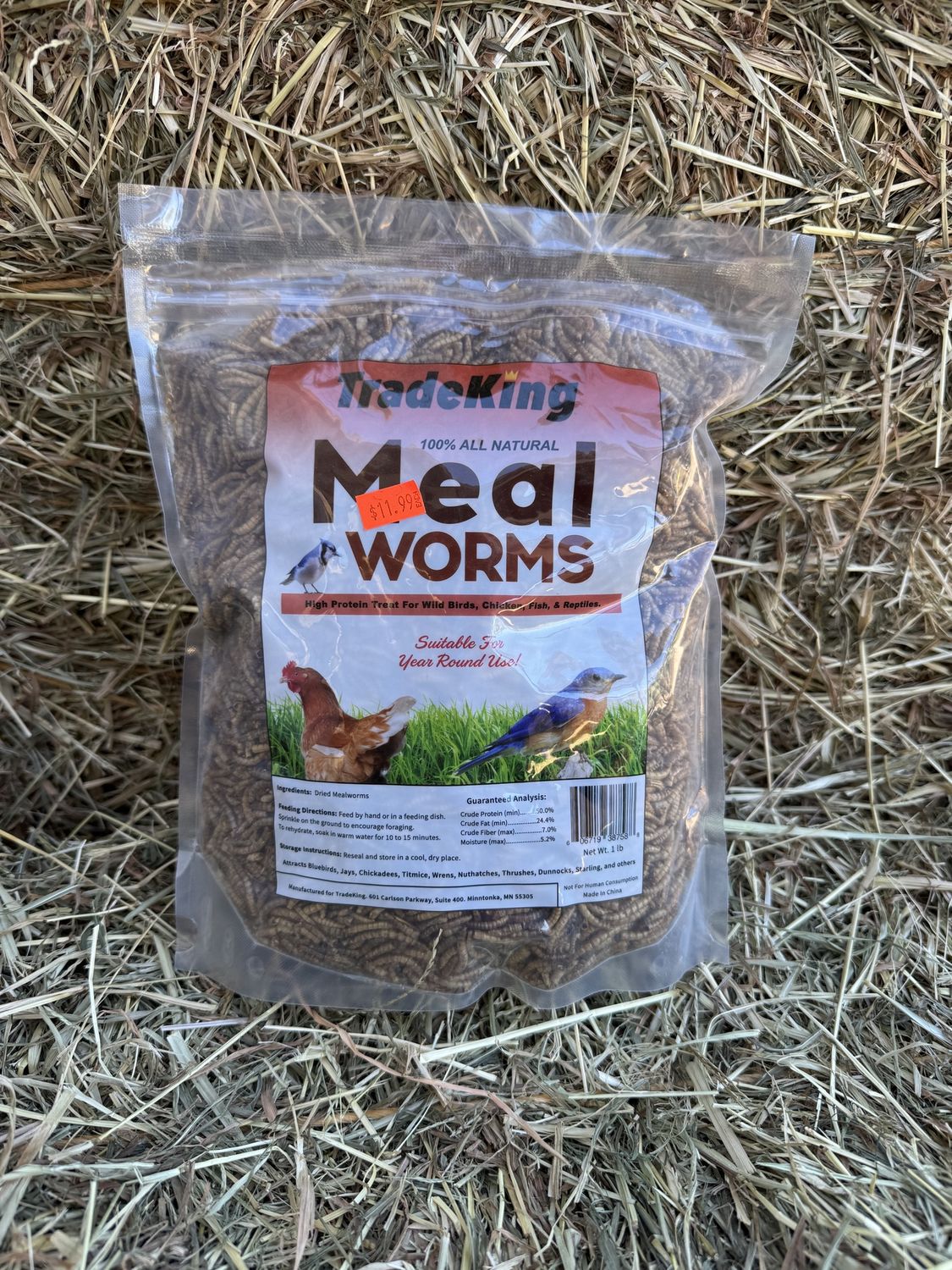 Meal Worms-1 LB