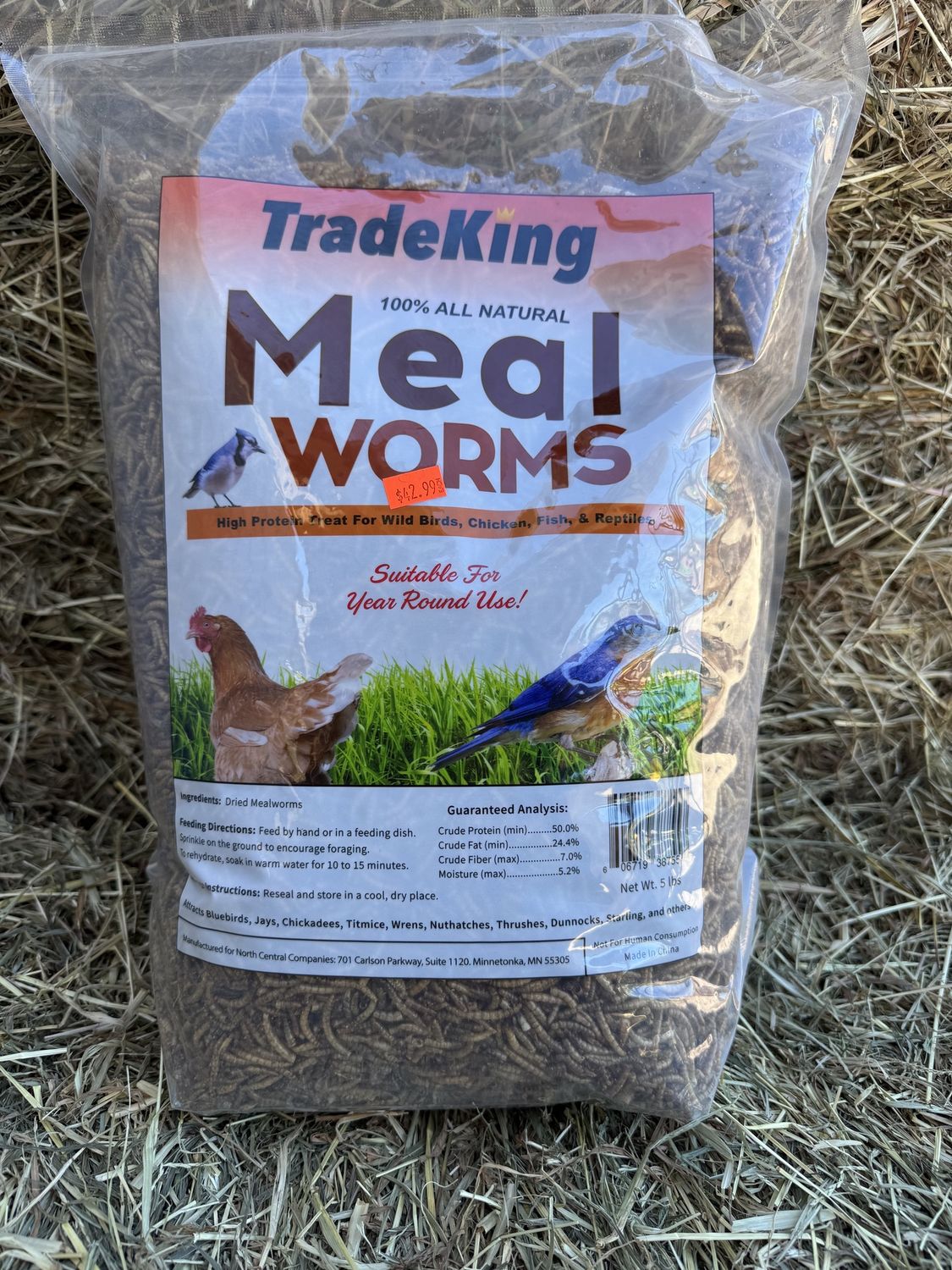 Meal Worms-5 LB
