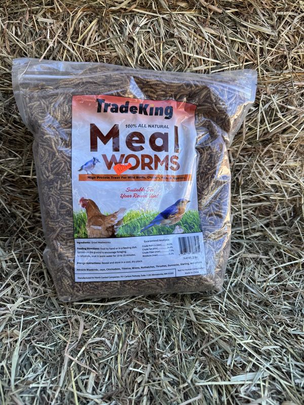 Meal Worms-2 LB