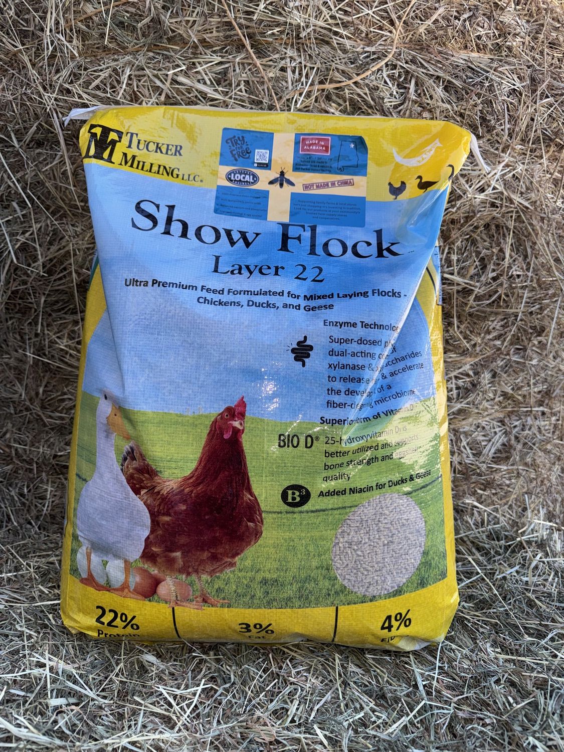 22% Show Flock Layer Pellet - 50LB Bag