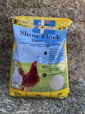 22% Show Flock Layer Pellet - 50LB Bag