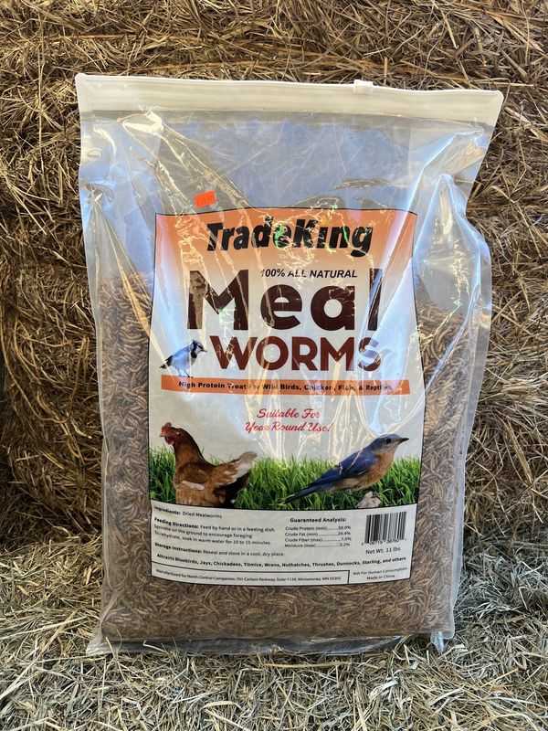 Meal Worms-11 LB