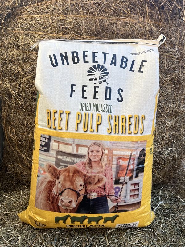 Beet Pulp w/Molasses-30 LB