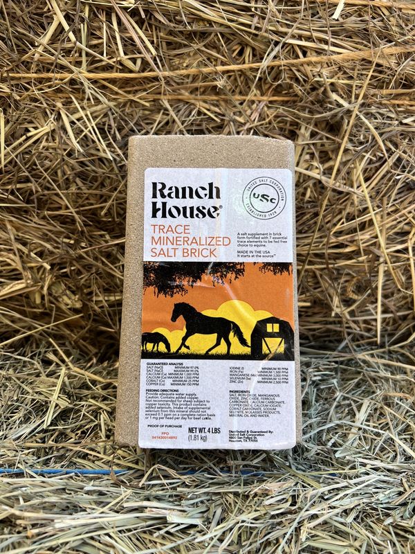 Trace Mineral Salt Brick