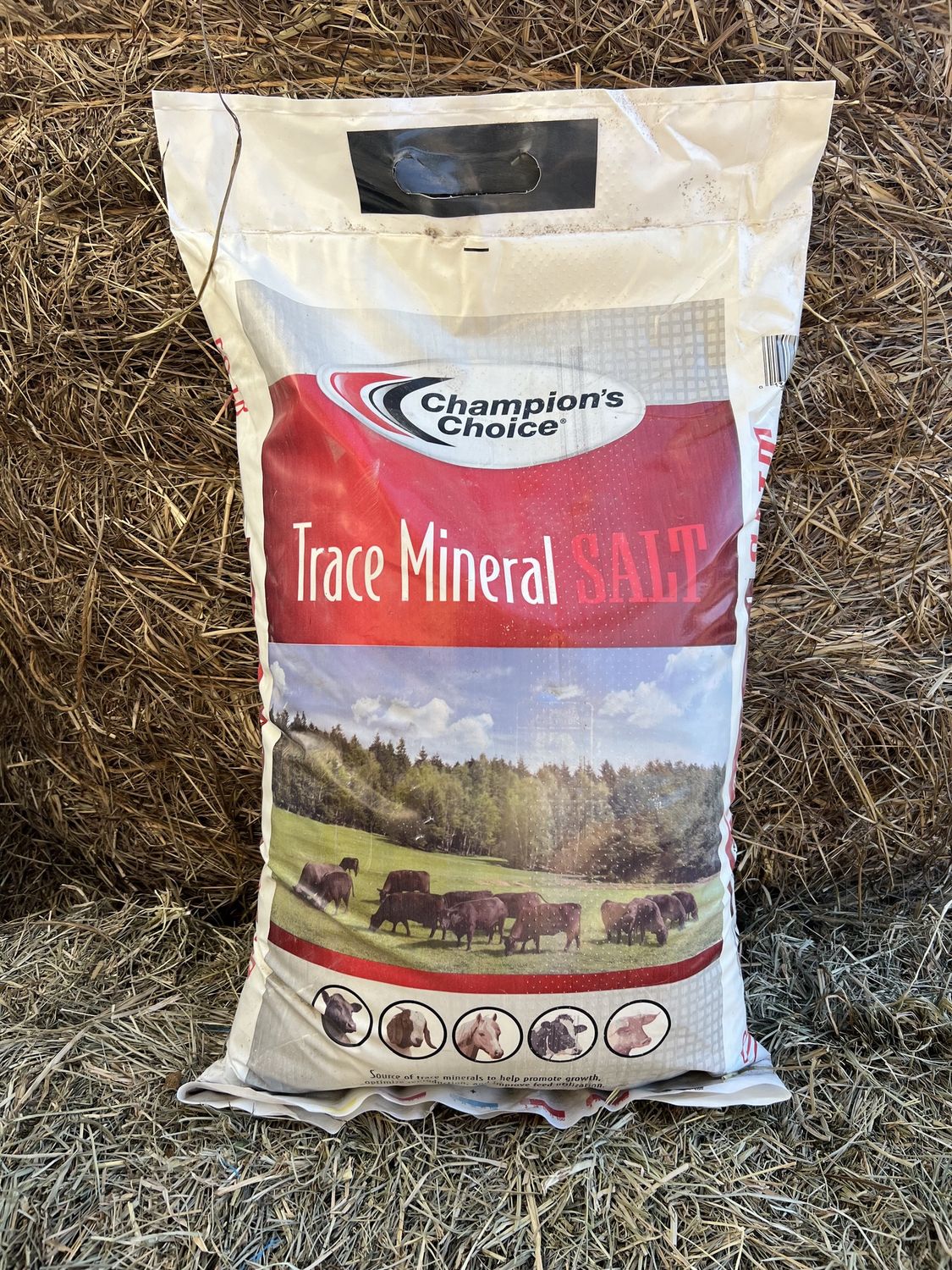 Trace Mineral Salt Bag-50 LB Bag