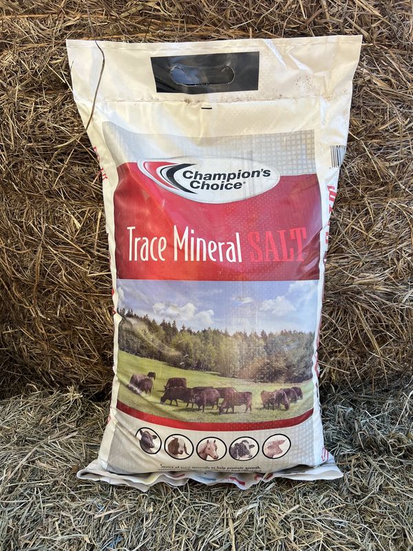 Trace Mineral Salt Bag-50 LB Bag