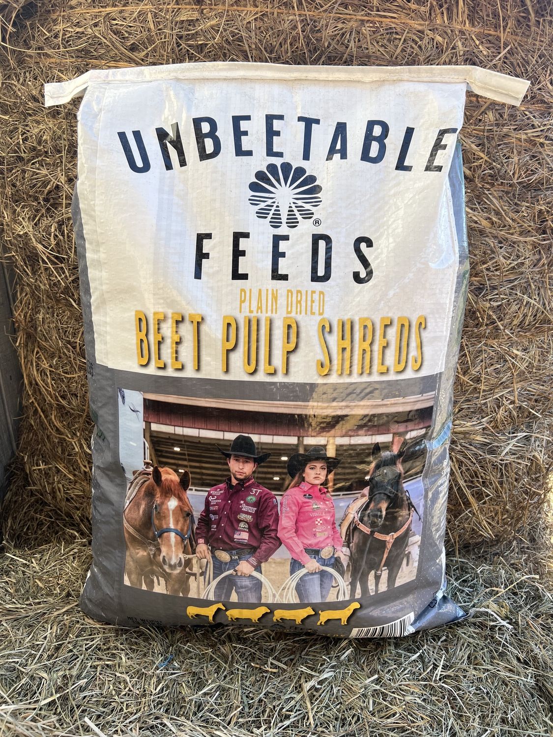 Beet Pulp Plain- 30 LB