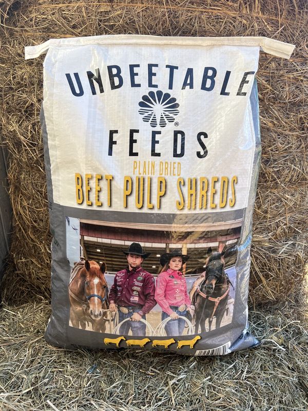 Beet Pulp Plain- 30 LB