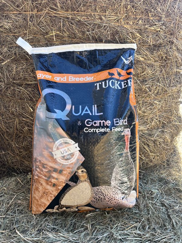 Quail and Game Bird Layer / Breeder