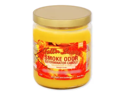 Smoke Odor Candle 13oz - Fall N Leaves