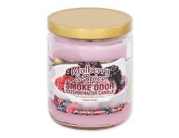 Smoke Odor Candle 13oz - Mulberry &amp; Spice