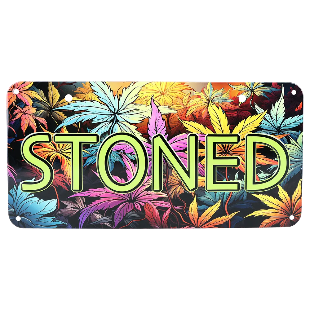 Novelty Embossed Metal License Plate 12”x6” Stoned