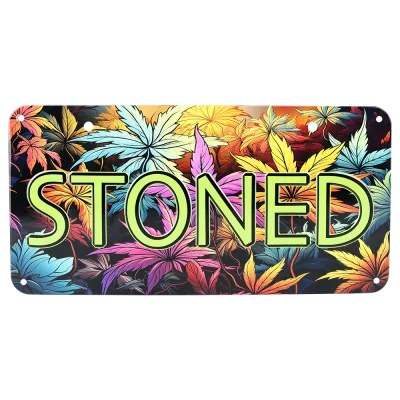 Novelty Embossed Metal License Plate 12”x6” Stoned
