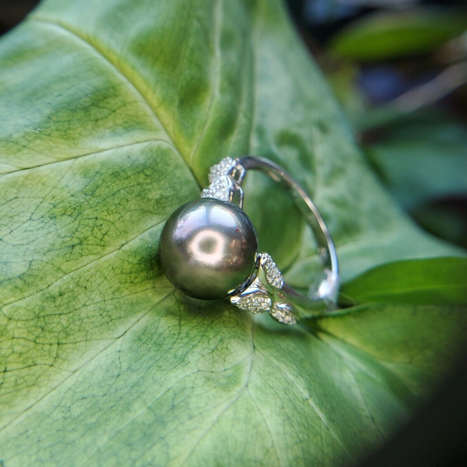 18k White Gold and Tahitian Pearl Diamond Ring