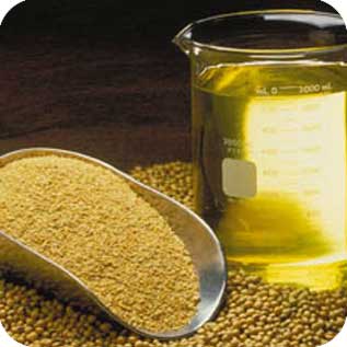 Aceite de Soya / 3 Litros