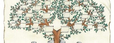 Nuestro árbol Transgeneracional