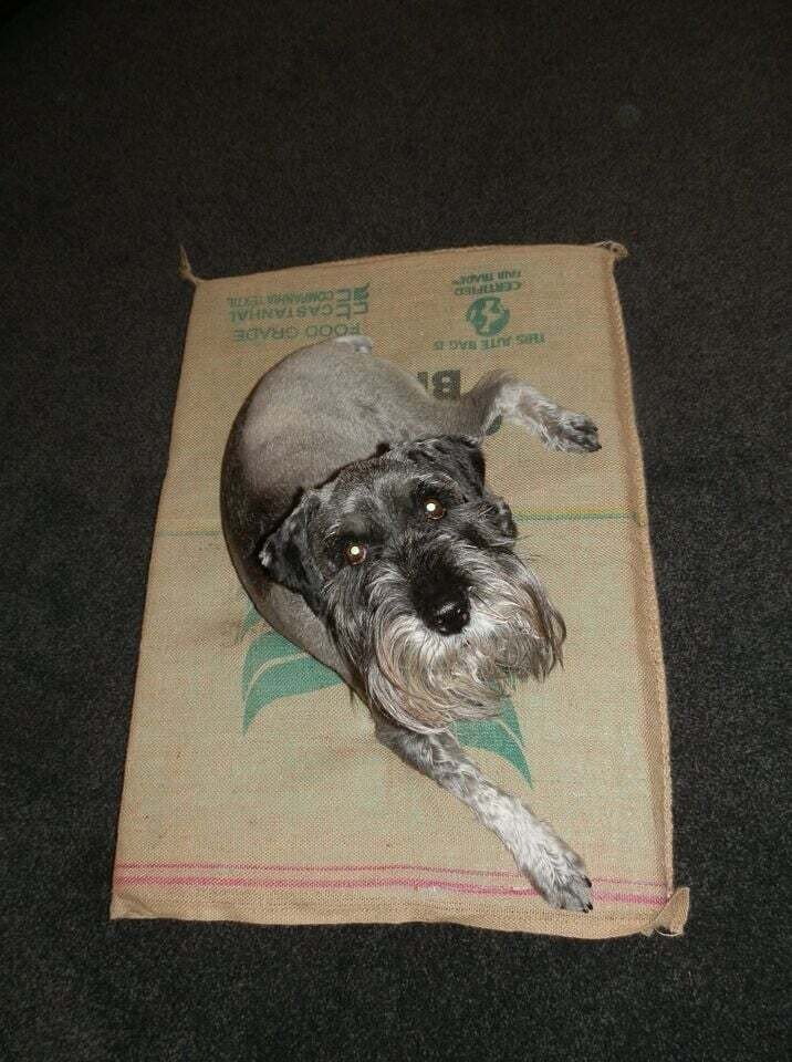 Coffee Bean Sack beds