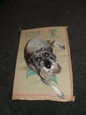 Coffee Bean Sack beds