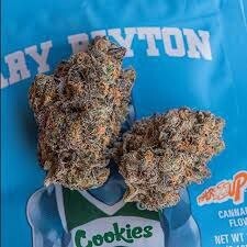 Gary Payton