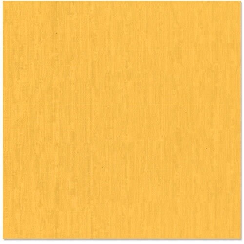 BEESWAX 12X12