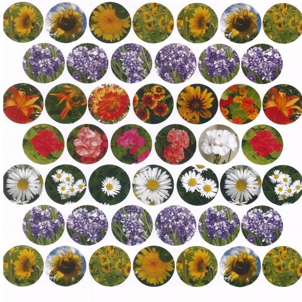 FLOWERS PUNCHABLES NZ PAPER