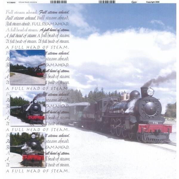 STEAM TRAIN NZ PAPER