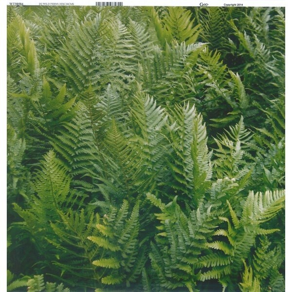 WILD FERNS NZ PAPER