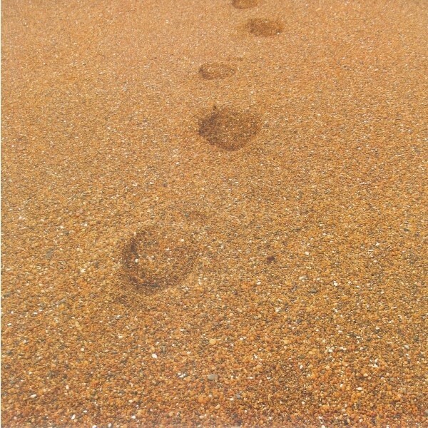 SAND FOOTPRINTS NZ PAPER