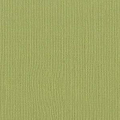 PARAKEET CD