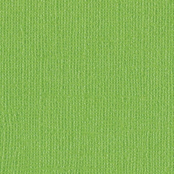 BANK ROLL 12X12
