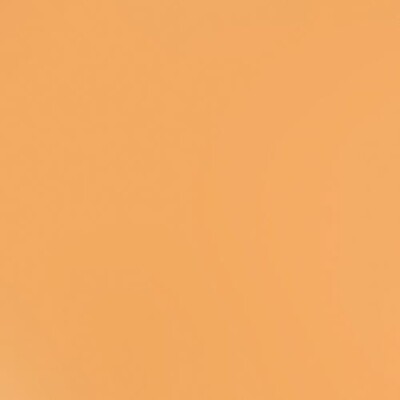 CITRIS SLICE CSTOCK 12X12