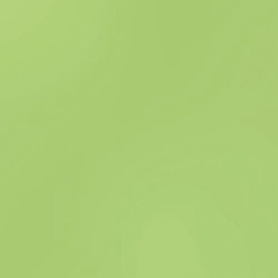 SPEARMINT STICK 12X12