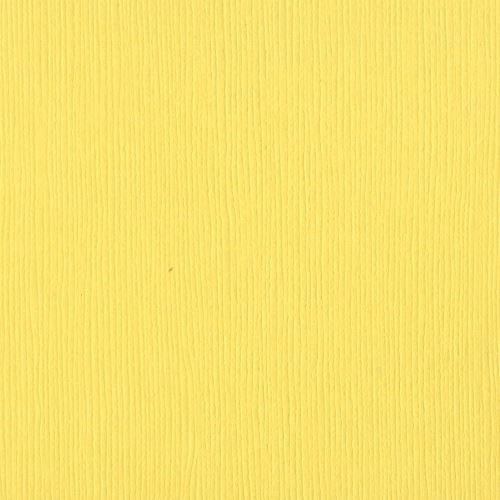 POLLEN 8.5X11