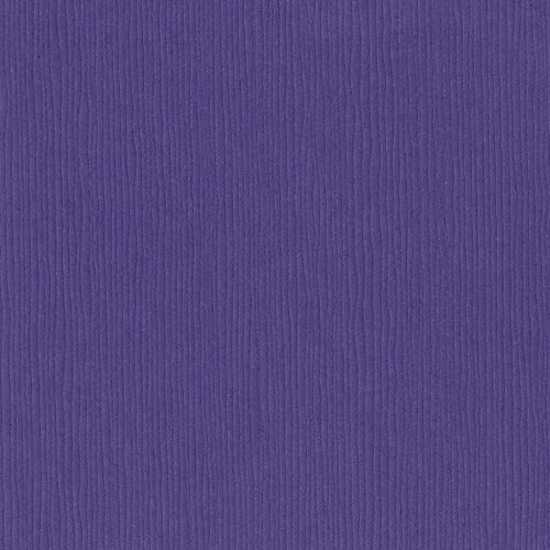PURPLE PIZZAZZ 12X12
