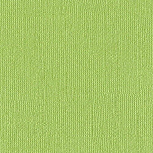 PETTY CASH 12X12