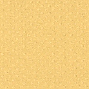 CORN MEAL 12X12