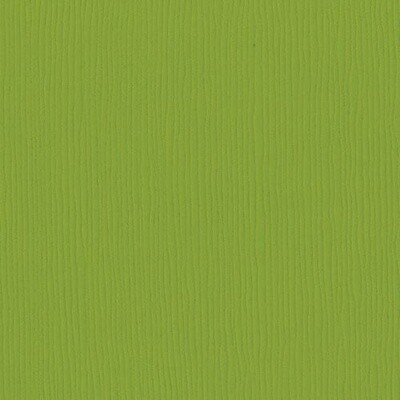 INTENSE KIWI CD