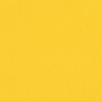 GRAPEFRUIT BLISS 12X12