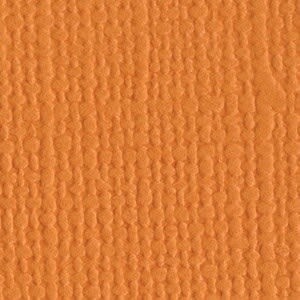 APRICOT 12X12