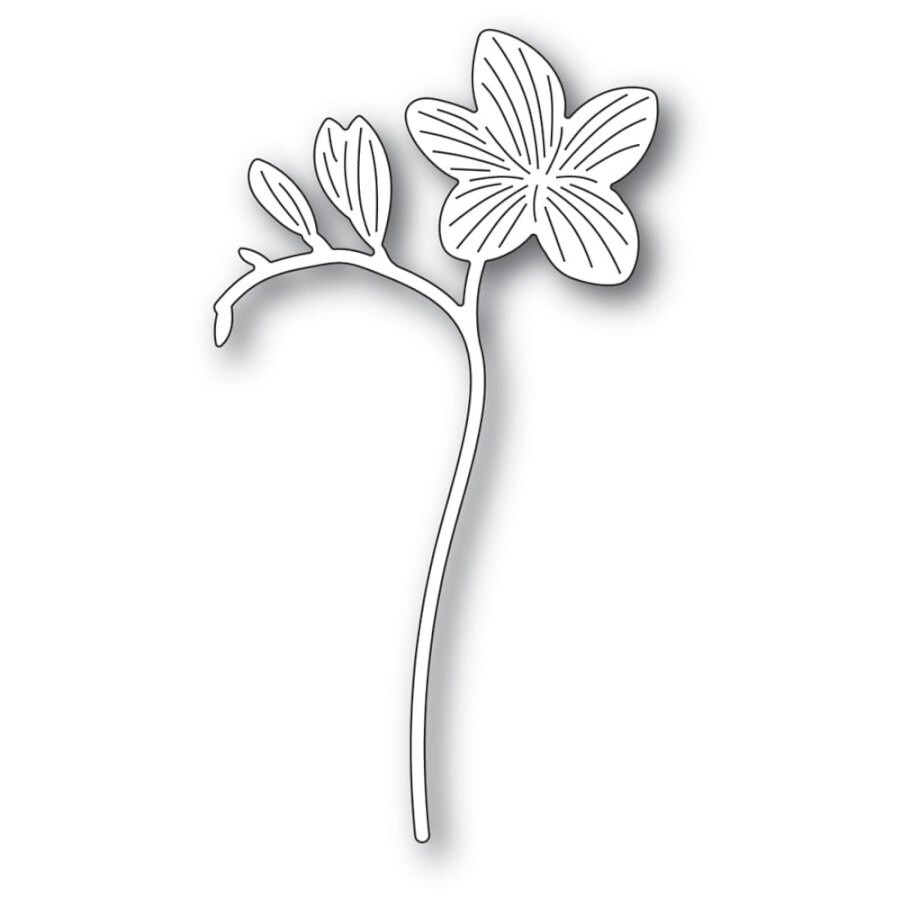 DREAMY FREESIA DIE