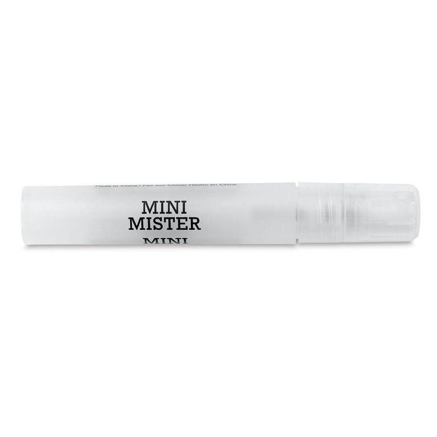 MINI MISTER