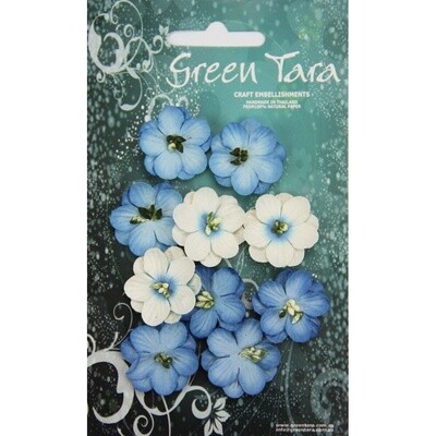 BRIGHT BLUE CHERRY BLOSSOMS