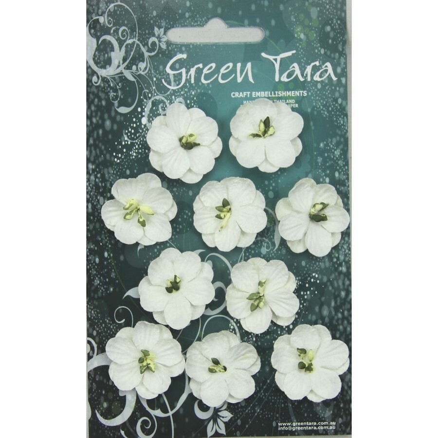 WHITE CHERRY BLOSSOMS