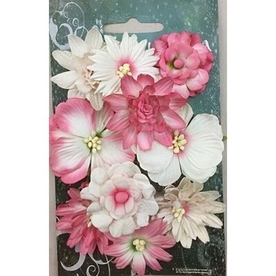 HOT PINK CORNFLOWERS