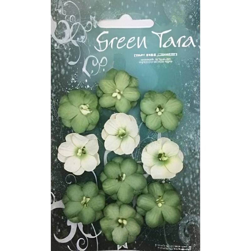 GREEN CHERRY BLOSSOMS