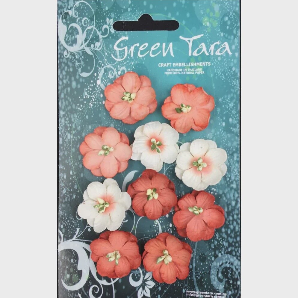 PEACH CHERRY BLOSSOMS
