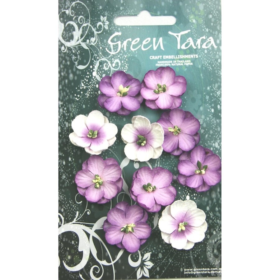 LAVENDER CHERRY BLOSSOMS