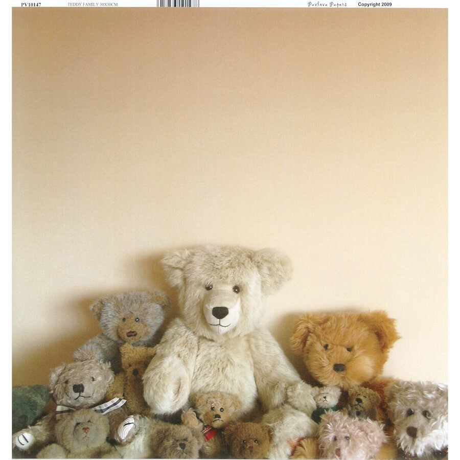 TEDDY FAMILY NZ PAPER